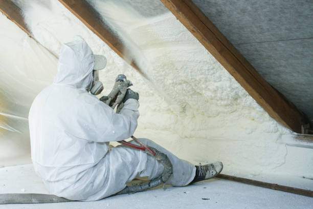 Best Wall Insulation Installation in Bylas, AZ